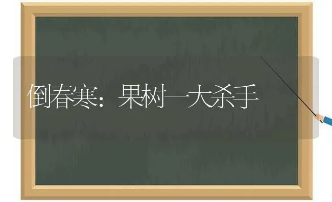 倒春寒：果树一大杀手 | 瓜果种植