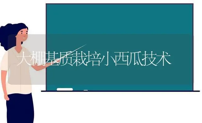 大棚基质栽培小西瓜技术 | 瓜果种植