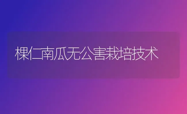 棵仁南瓜无公害栽培技术 | 蔬菜种植