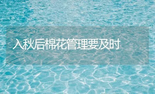 入秋后棉花管理要及时 | 粮油作物种植