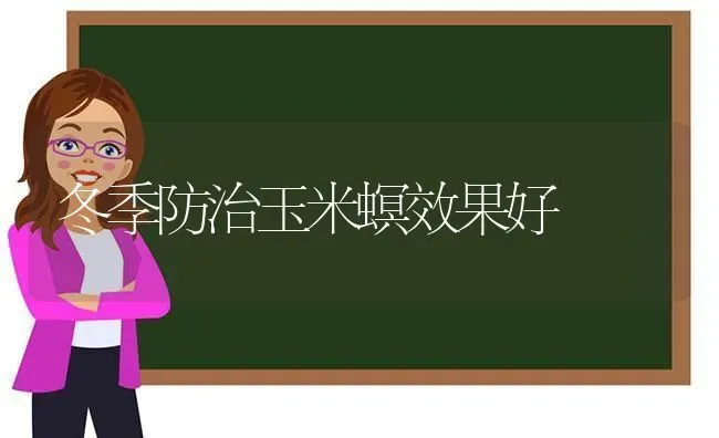 冬季防治玉米螟效果好 | 瓜果种植