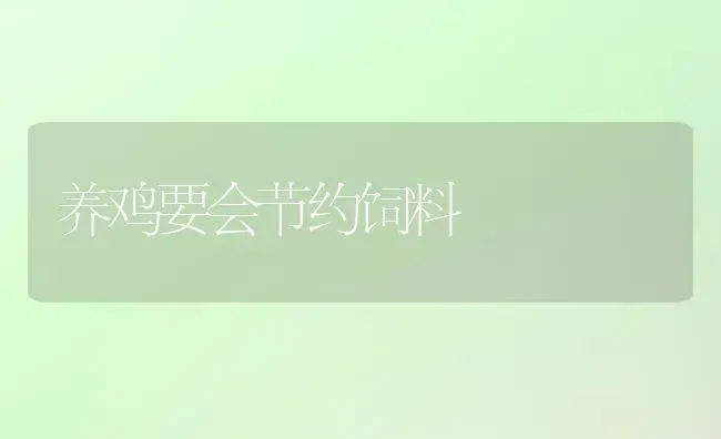 微型观赏南瓜品种---福瓜 | 蔬菜种植