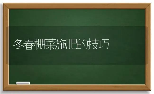 冬春棚菜施肥的技巧 | 种植肥料施肥