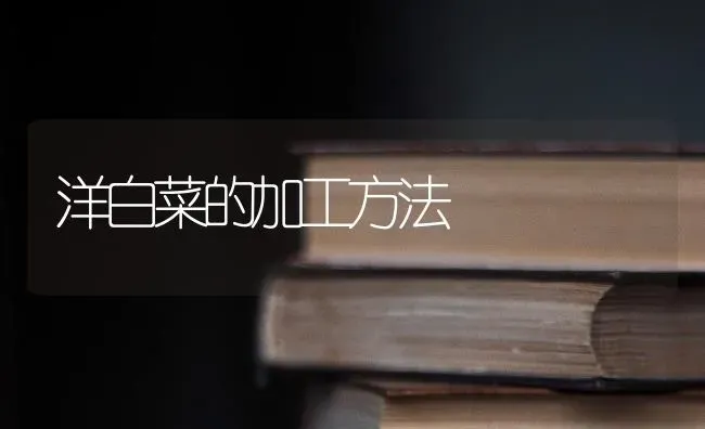 洋白菜的加工方法 | 蔬菜种植