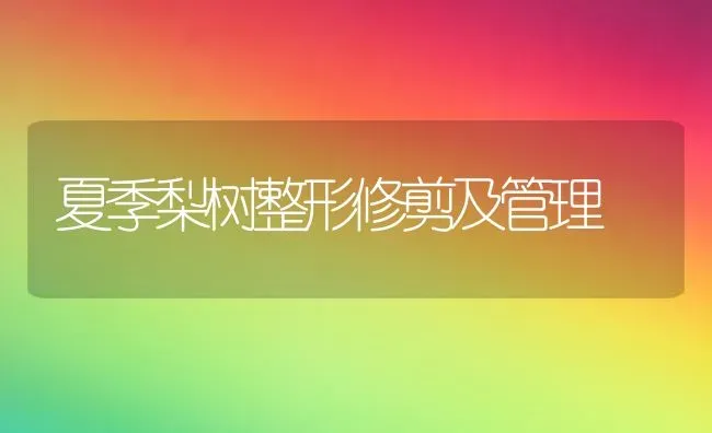 夏季梨树整形修剪及管理 | 瓜果种植