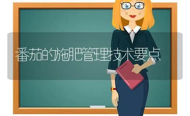 番茄的施肥管理技术要点 | 种植肥料施肥