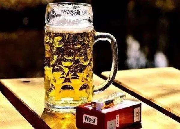 植物浇水|喝剩的啤酒可以浇花吗