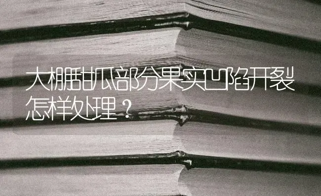 大棚甜瓜部分果实凹陷开裂怎样处理？ | 瓜果种植