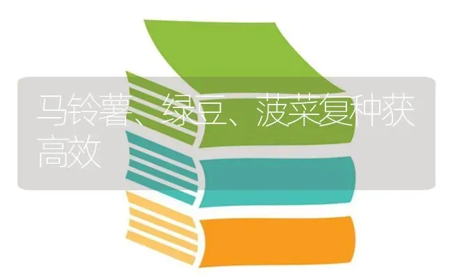 马铃薯、绿豆、菠菜复种获高效 | 蔬菜种植
