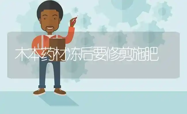 木本药材冻后要修剪施肥 | 药材种植