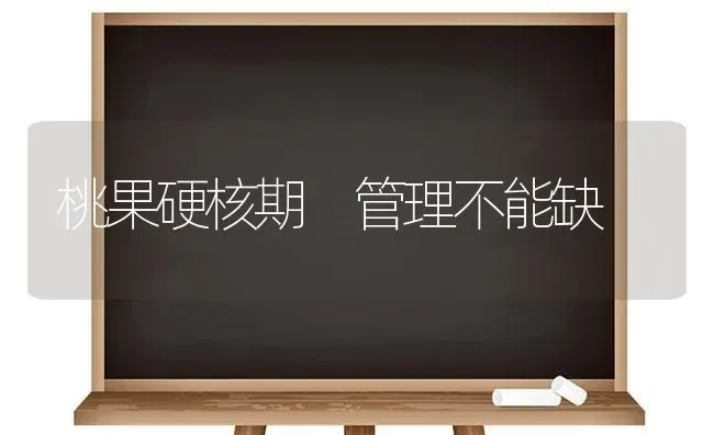 桃果硬核期 管理不能缺 | 瓜果种植