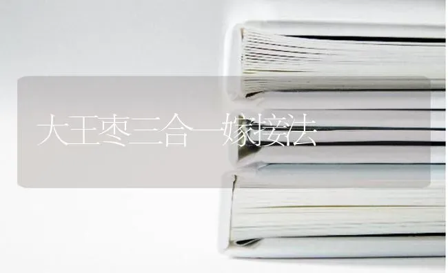 大王枣三合一嫁接法 | 瓜果种植