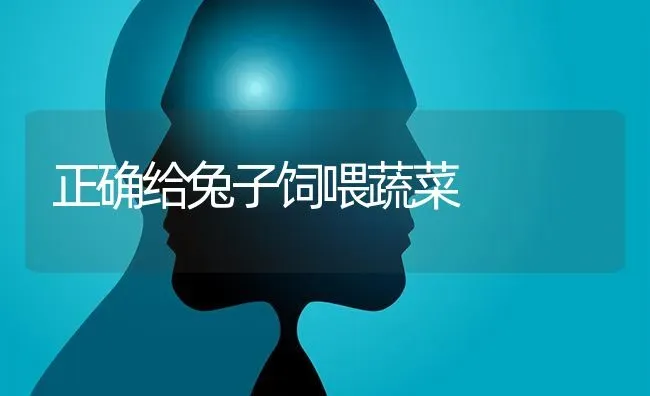 正确给兔子饲喂蔬菜 | 蔬菜种植
