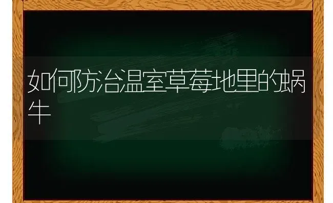 如何防治温室草莓地里的蜗牛 | 瓜果种植