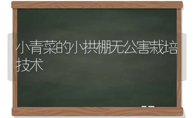 小青菜的小拱棚无公害栽培技术 | 蔬菜种植