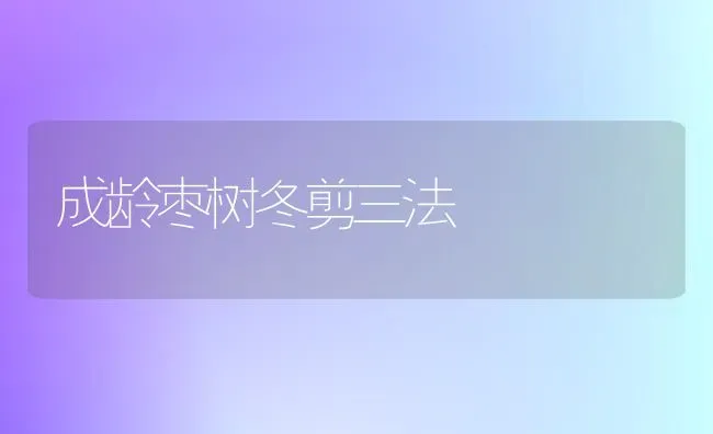 成龄枣树冬剪三法 | 瓜果种植