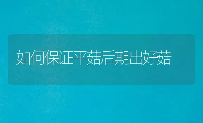 如何保证平菇后期出好菇 | 食用菌种植