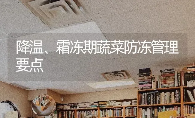 降温、霜冻期蔬菜防冻管理要点 | 蔬菜种植