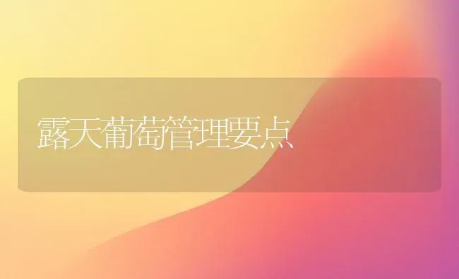 露天葡萄管理要点 | 瓜果种植