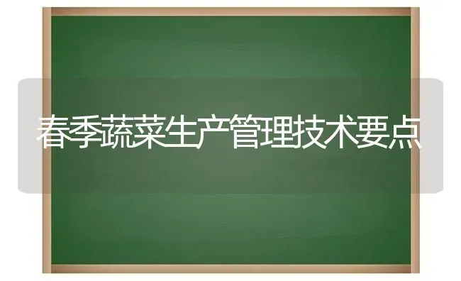 春季蔬菜生产管理技术要点 | 蔬菜种植