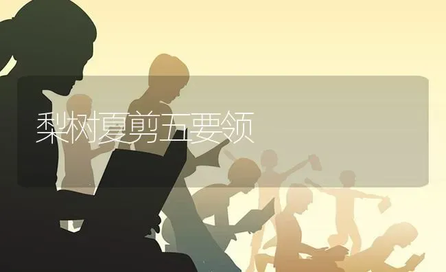 梨树夏剪五要领 | 瓜果种植
