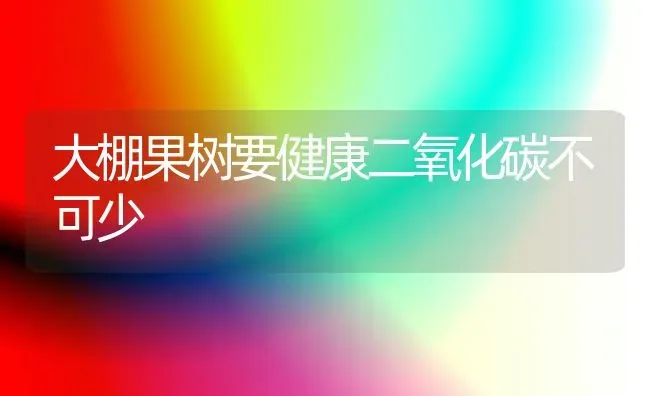 大棚果树要健康二氧化碳不可少 | 瓜果种植