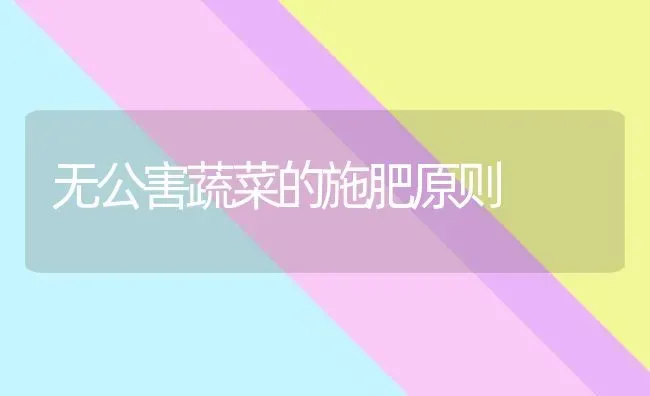 无公害蔬菜的施肥原则 | 蔬菜种植