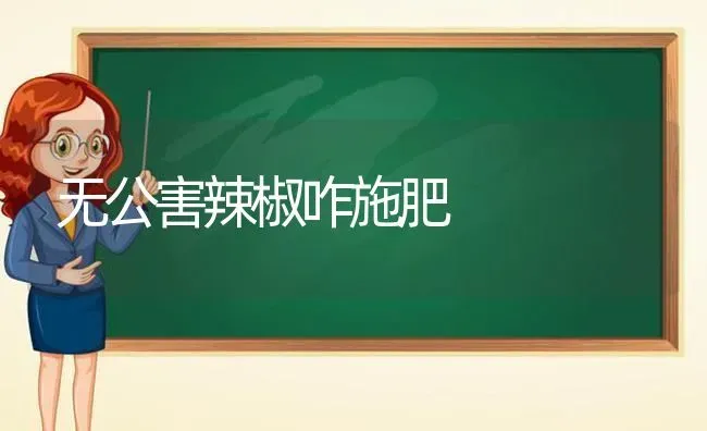 无公害辣椒咋施肥 | 种植肥料施肥