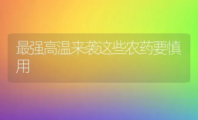最强高温来袭这些农药要慎用 | 种植病虫害防治