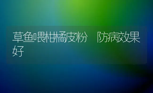草鱼喂柑橘皮粉 防病效果好 | 瓜果种植