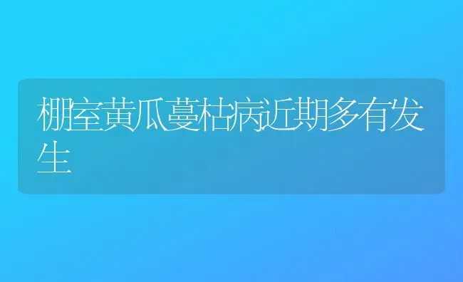 棚室黄瓜蔓枯病近期多有发生 | 蔬菜种植