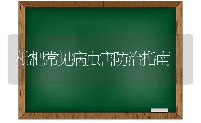 枇杷常见病虫害防治指南 | 种植病虫害防治