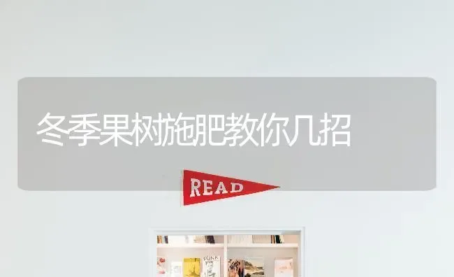 冬季果树施肥教你几招 | 瓜果种植