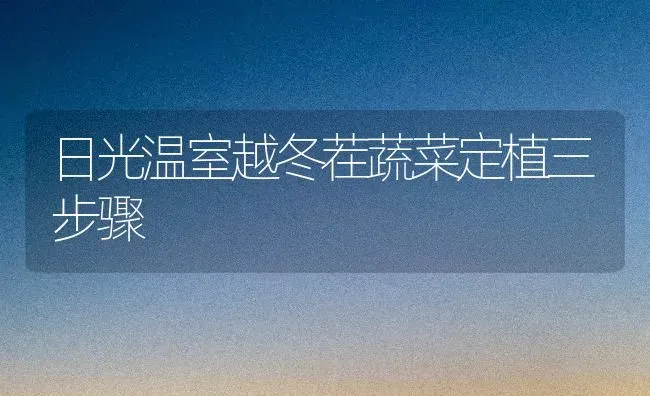 日光温室越冬茬蔬菜定植三步骤 | 蔬菜种植