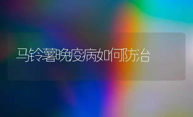 马铃薯晚疫病如何防治 | 粮油作物种植