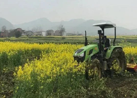 种植管理|农作物为什么不能重茬，一看就懂哪些作物不能重茬）