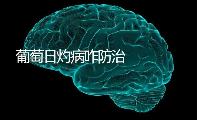 葡萄日灼病咋防治 | 瓜果种植