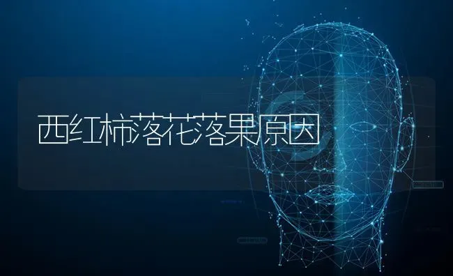 西红柿落花落果原因 | 瓜果种植