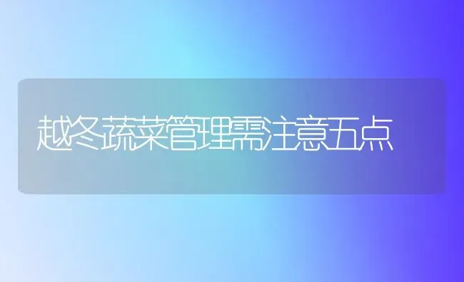 越冬蔬菜管理需注意五点 | 蔬菜种植