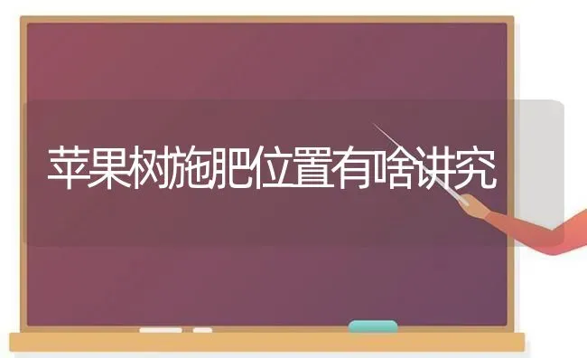 苹果树施肥位置有啥讲究 | 瓜果种植