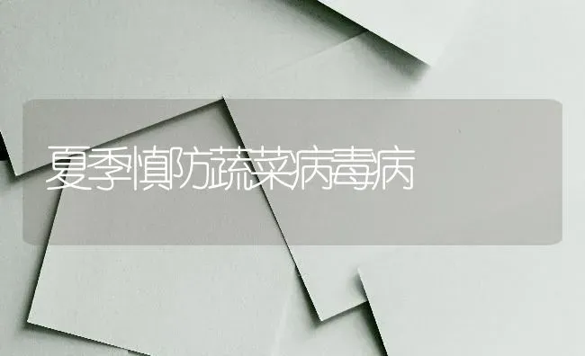 夏季慎防蔬菜病毒病 | 蔬菜种植