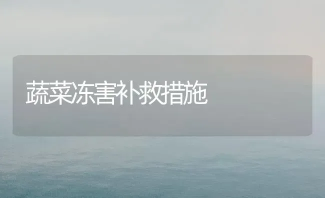 蔬菜冻害补救措施 | 蔬菜种植