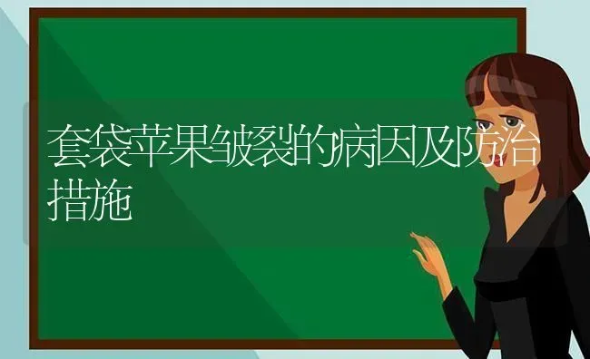 套袋苹果皱裂的病因及防治措施 | 瓜果种植