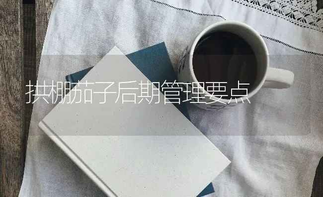 拱棚茄子后期管理要点 | 蔬菜种植