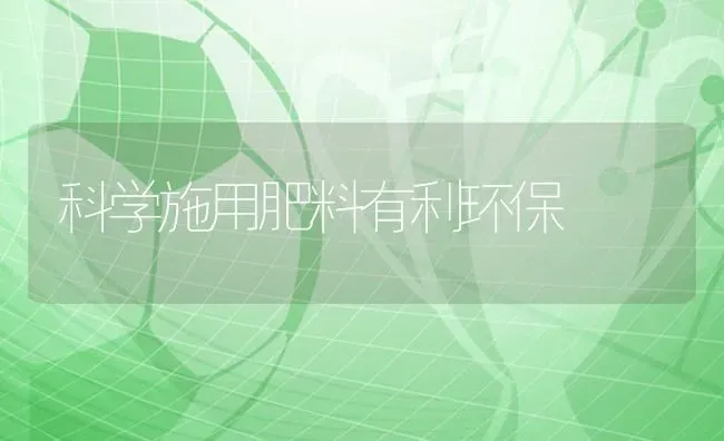 科学施用肥料有利环保 | 种植肥料施肥