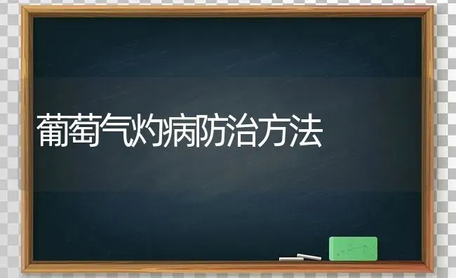 葡萄气灼病防治方法 | 瓜果种植