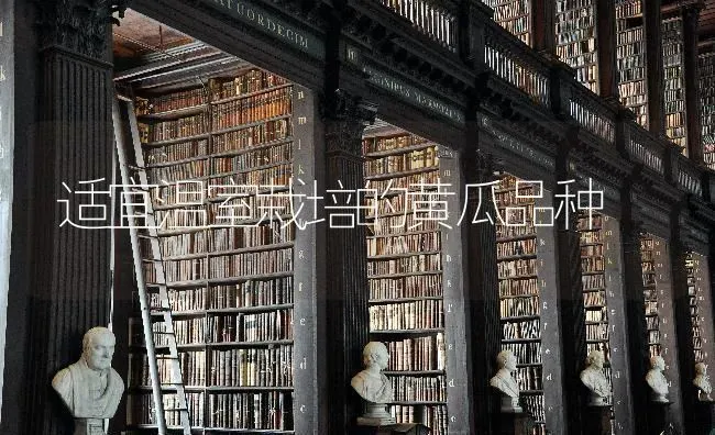 适宜温室栽培的黄瓜品种 | 蔬菜种植