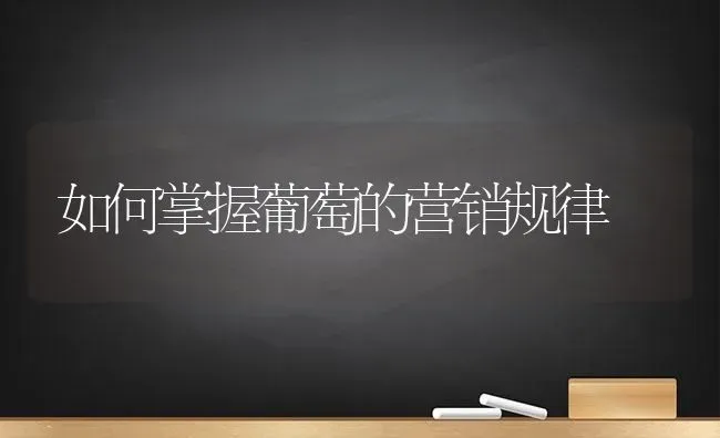 如何掌握葡萄的营销规律 | 瓜果种植