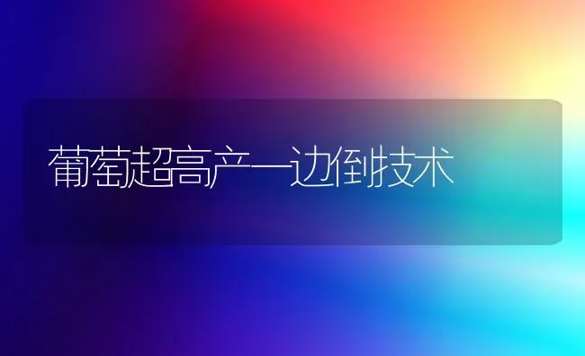 葡萄超高产一边倒技术 | 瓜果种植