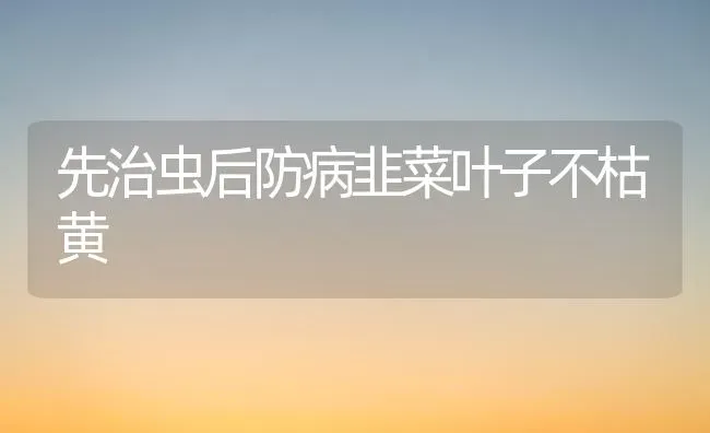 先治虫后防病韭菜叶子不枯黄 | 蔬菜种植